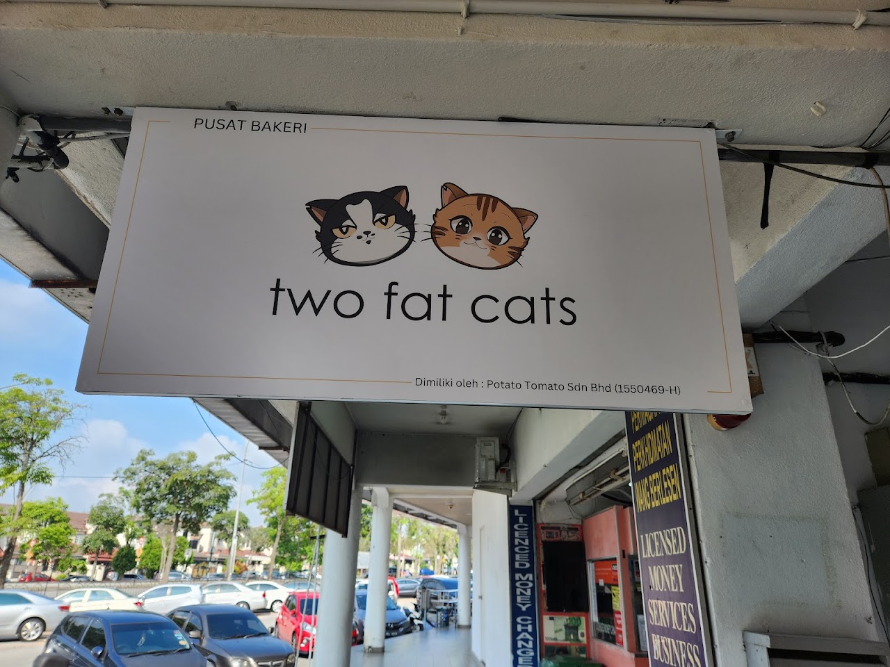 Two Fat Cats – photo 1